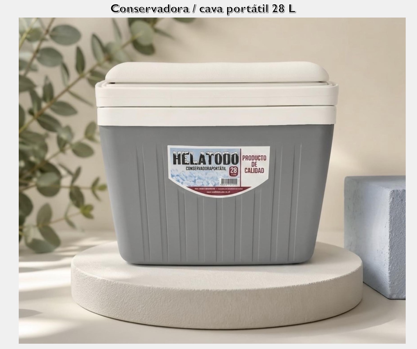 Conservadora Portátil 28L