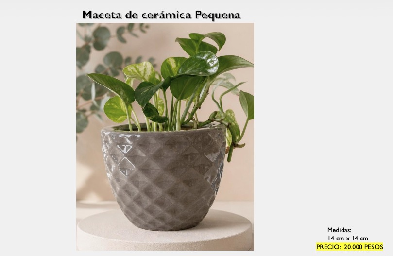 Maceta Cerámica Diamante — Pequeña
